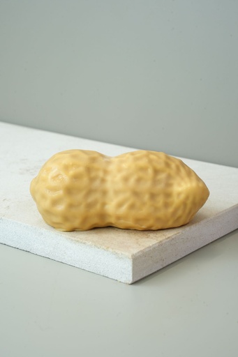 [TO6] Trompe l'œil Cacahuète